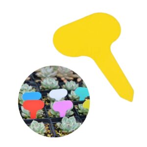 Yellow T Label Plant Seed
