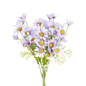Purple Gerbera Flower