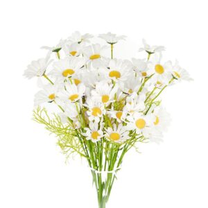 White Gerbera Flower