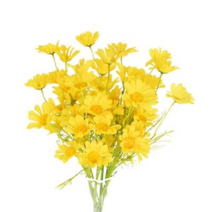 Yellow Gerbera Flower